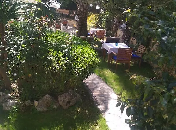 Gizem Special Class 锡德